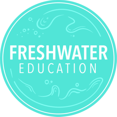 NAIDOC Week children's weaving intro with Freshwater Education - Gai-mariagal Festival 2025 - Sydney Northern Beaches